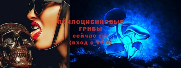 кокс Алексин