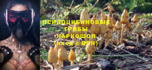 амф Алзамай